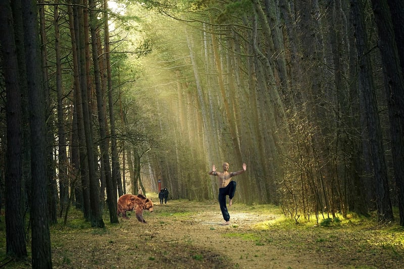 Martial Arts Kung Fu